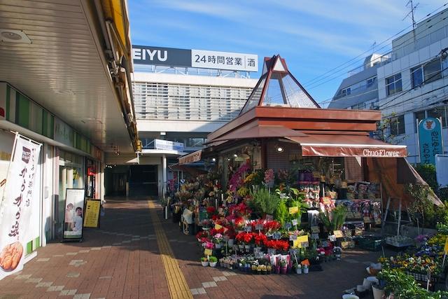 自然と文化が融合する「上石神井」の住みやすさや魅力を地元民が解説するよ！の記事画像