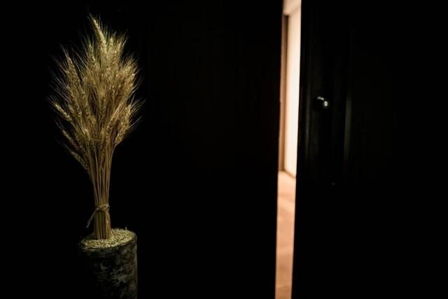 recte(レクテ)の画像